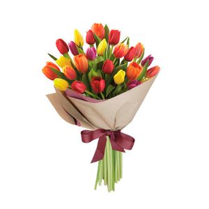 Bouquet 25 Tulipanes Boreal