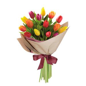 Bouquet 15 Tulipanes Boreal